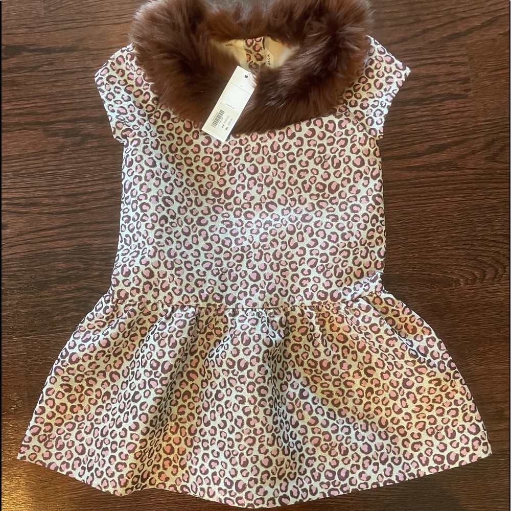 Janie and Jack Dress